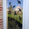 Bay Window Collision Sticker (12 Birds) - Prevents Birds or