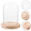 Kichvoe Glass Display Dome Cloche Tabletop Display Case,Column Cloche Bell