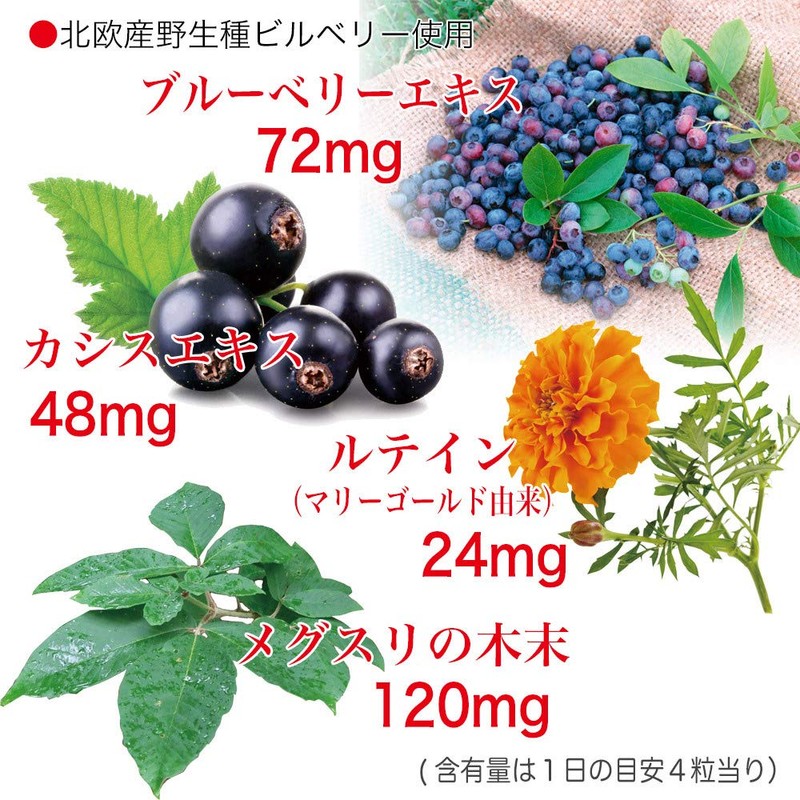大日ヘルシーフーズ ブルーベリー ルテイン 60粒入（錠剤タイプ）×6袋 カシス メグスリの木末配合 サプリ