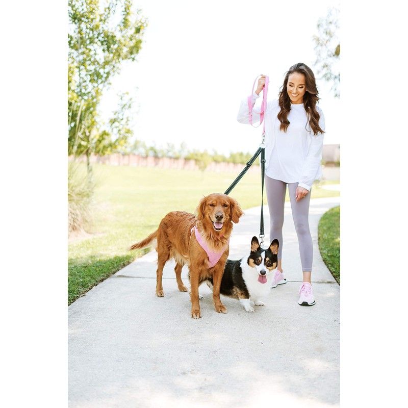 Cajun Tie Downs Reflective - Double Dog Leash - No