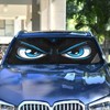 Evil Blue Eyes Windshield Sun Shade for Car Auto SUV