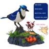 Electronic Talking Repeated Singing Chirping Bird with Sensor Motion Activation