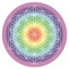 Drinks Coaster, Flower of Life, Cardboard Round, Diameter 10.7 cm, 1.4 mm Thick, SET6