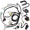 Caltric Wire Harness /Starter/ Ignition Key Switch, Coil Yamaha Warrior