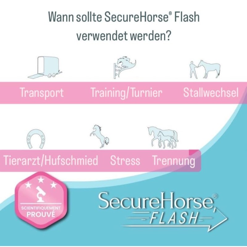 Signs Secure Horse Flash Sticks 10 Sticks