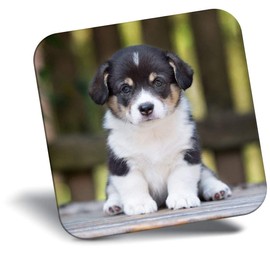 Destination Vinyl ltd Fridge Magnet - Bernese Mountain Dog Puppy 15781