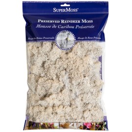 SuperMoss (23193) Reindeer Moss Preserved, White, 8oz Bag