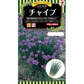 Takii Seedling Herb Chive