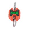 Mini Digital Crane Scale 250kg Range Portable Detachable LCD Display