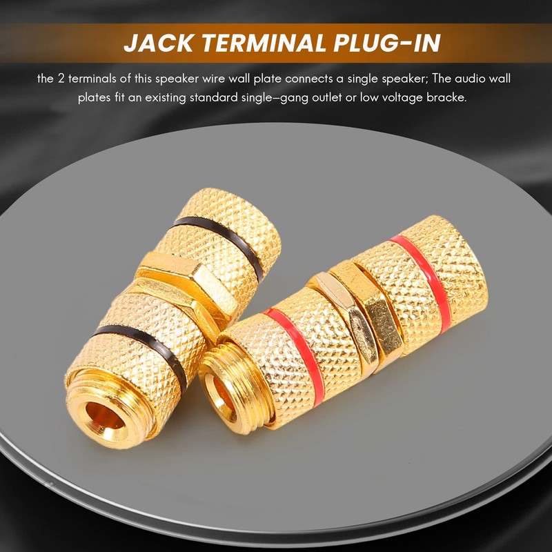 Aswalling 2 Pack Single Gang 1.0 Speaker Wire Wall Plate