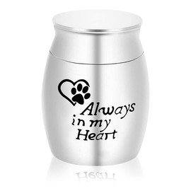 Jagowa 1 Piece Stainless Steel Mini Dog Urns Small Keepsake Urns For Pets Cremation Container Memorial Jar For Pet Ashes (Silver)