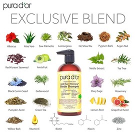 PURA D'OR Original Gold Label Anti-Thinning Shampoo Clinically Tested, Infused with Argan Oil, Biotin & Natural Ingredients, Sulfate Free, All Hair Types, Men and Women, 16 Fl Oz (Packaging may vary)