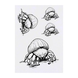 4 x 'Hermit Crab' Temporary Tattoos - Water Resistant, Skin-Safe, Non-Toxic Transfers, Mixed Sizes (TO00075172)