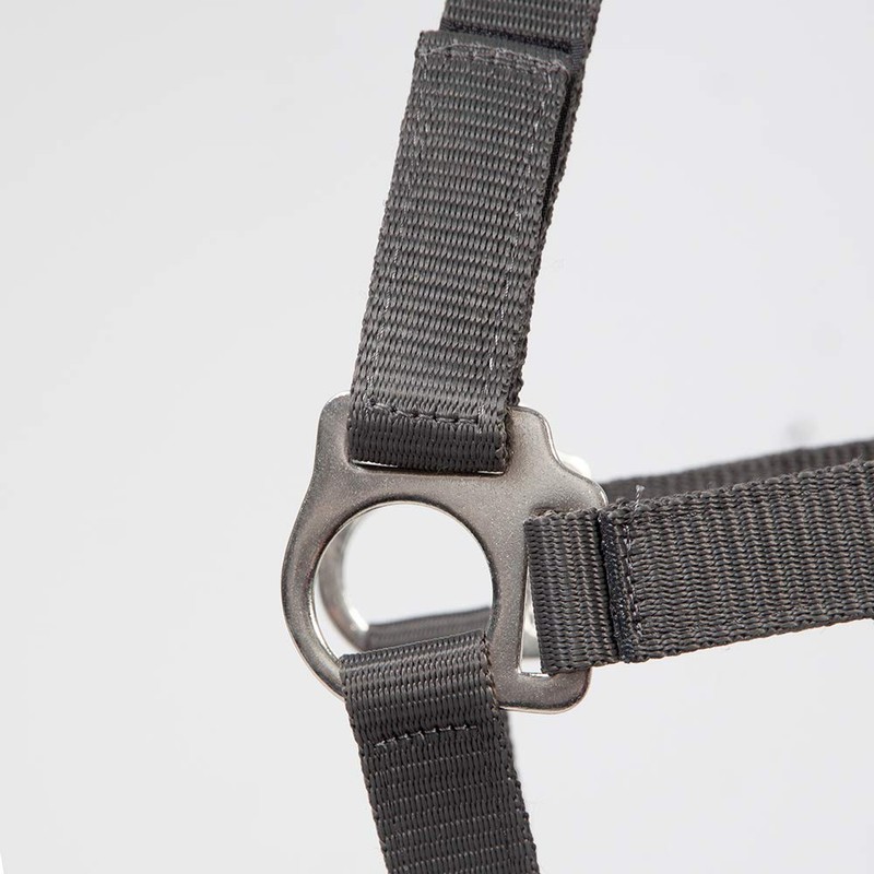 PFIFF Jocose 102921 Safety Halter Paddock Headcollar Grey Shetty