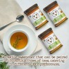 Savannah Bee Company Honey Sample Set - Tea Honey