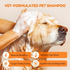 PUAINTA Dog & Cat Shampoo for Itchy Skin Relief, Hypoallergenic, Unscented, 16oz