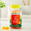Spring Valley Vitamin C Vegetarian Gummies, Orange, 250 mg, 70