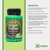 Caf Verde 100 Puro 60 Cpsulas De 500 Mg Green