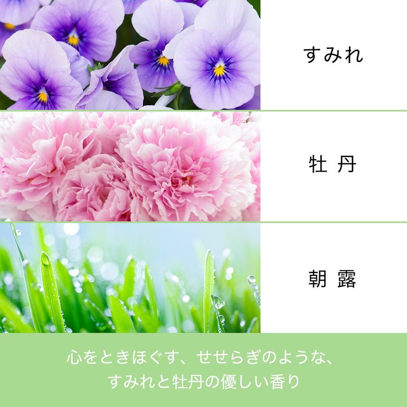 Pantene Micellar Treatment, Pure & Moist Refill, 12.3 oz (350