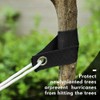 Peakloong 32Pcs 15.74 inch Tree Straps for Staking with Grommet