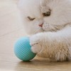 Smart Rolling Ball USB Rechargeable Quiet Relieve Boredom Interactive Cat