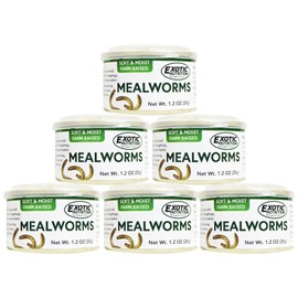 Canned Mealworms (1.2 oz. 6 Pack) - Healthy High Protein Insect Treat - Hedgehogs, Sugar Gliders, Reptiles, Wild Birds, Chickens, Lizards, Bearded Dragons, Skunks, Opossums, Fish, Amphibians, Turtles