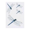 4 x 'Dragonfly' Temporary Tattoos - Water Resistant, Skin-Safe, Non-Toxic