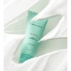 Bring Green Tea Tree Cica Trouble Cleansing Foam | Mild