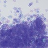 Pika Ace #766 Star Aurora Nail Powder Solvent Resistant Purple 0.5g