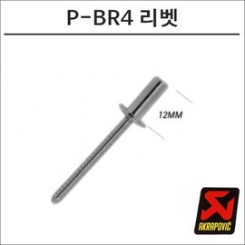 아크라포빅 머플러용 머플러부속 고정 리벳 실버 P-BR4 AcraProfic Muffler Accessory Fixing Rivet Silver P-BR4