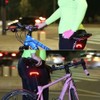 LED Bicycle Wireless USB Charging Smart Rear Light Turn Signal