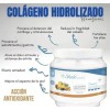 4 Premium Q10 Colageno Hidrolizado / Mejora Aspecto De Piel