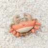 Fringe Studio "Very CRABTIVATING Earth Friendly Kicker Cat Toys, PetShop