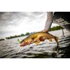 Berkley Gulp! Minnow , Smelt , 1"