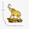 DARMOMOON Amber Acrylic Elephant Figurine Luck Elephant Auspictious Feng Shui