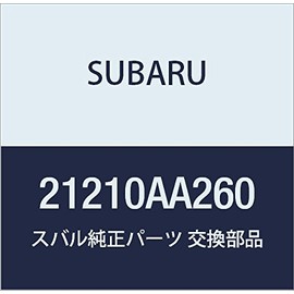 Subaru Thermostat and GASKE