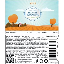 Bacillus bulgaricus kefir starter,cultur