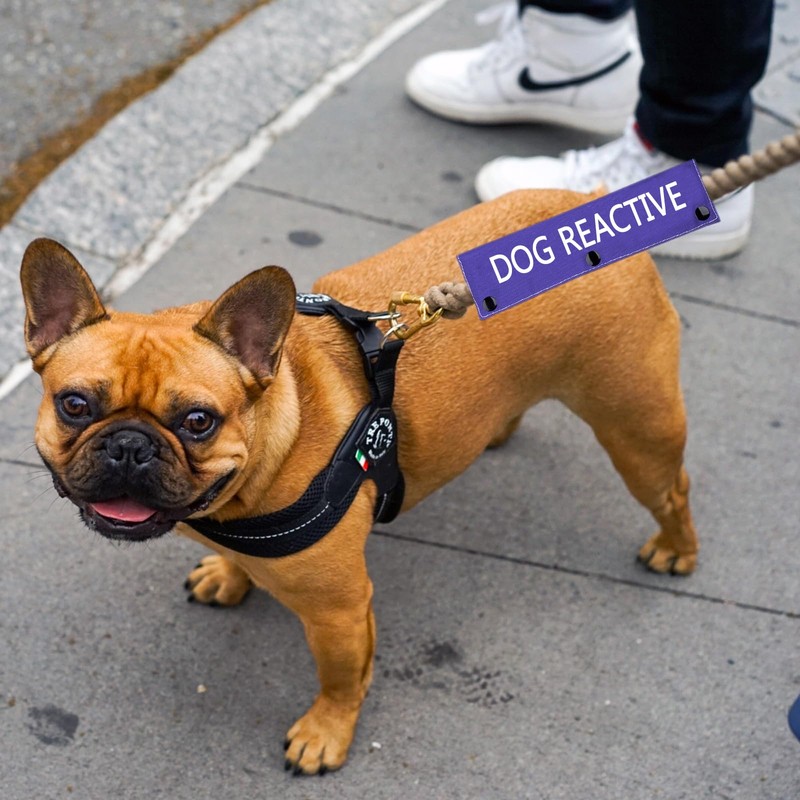 Dog Reactive Leash Sleeve Nervous Dog Leash Wrap Reactive Dog