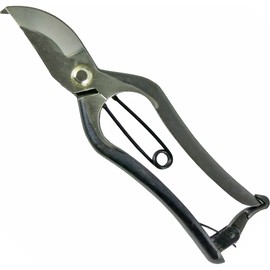藤光 Pruning Scissor Gold Mailing 200 mm