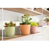 LECHUZA Classico Color 10 Deco Magnolia Table Pot Matte Surface