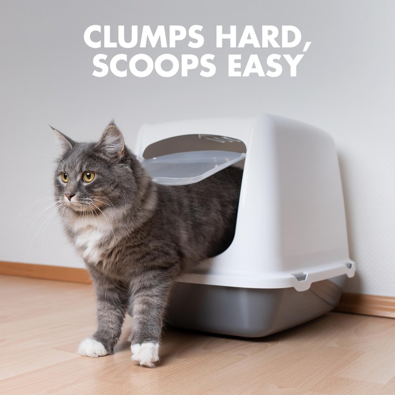 ARM & HAMMER Naturals Clumping Cat , Litter Odor Control,