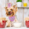 HACRAHO Dog Birthday Party Supplies, 3 Pieces Dog Birthday Bandana