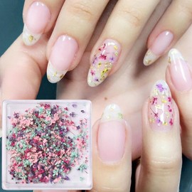 3D Dried Flowers for Nails Tip -1Box Dried Flower Nail Stickers Charms Natural Flower Mix Dry Colorful Decals for Nails Art Design Spring Small Floral Nail Art Resin DIY Craft Summer Manicure Supplies
