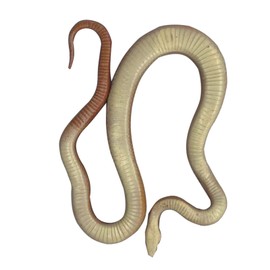 Yitaocity Realistic Rubber Fake Corn Snake Toy for Garden Props and Practical Joke