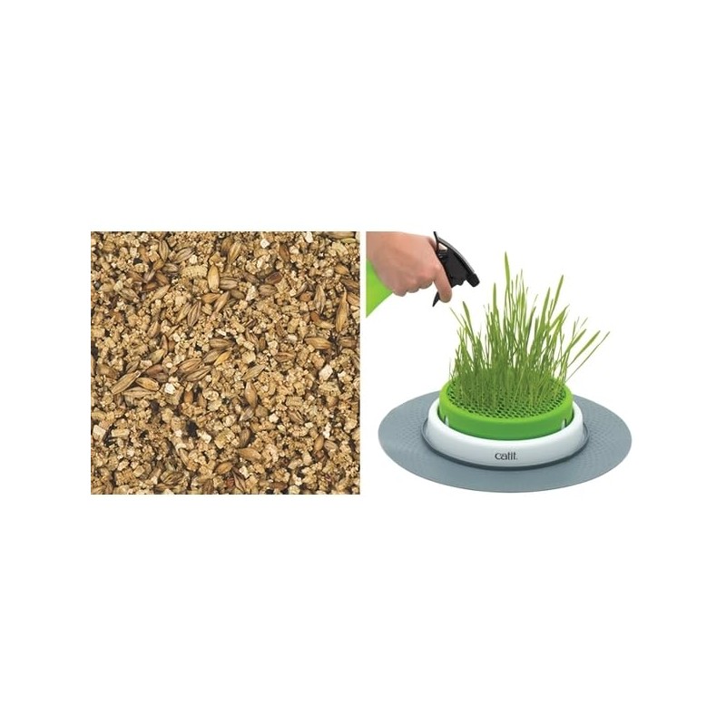 Catit CATT11 Planter Grass Refill,