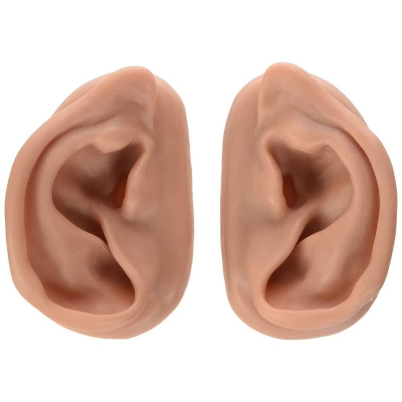 3B Scientific 3B Ear set, one left and right ear