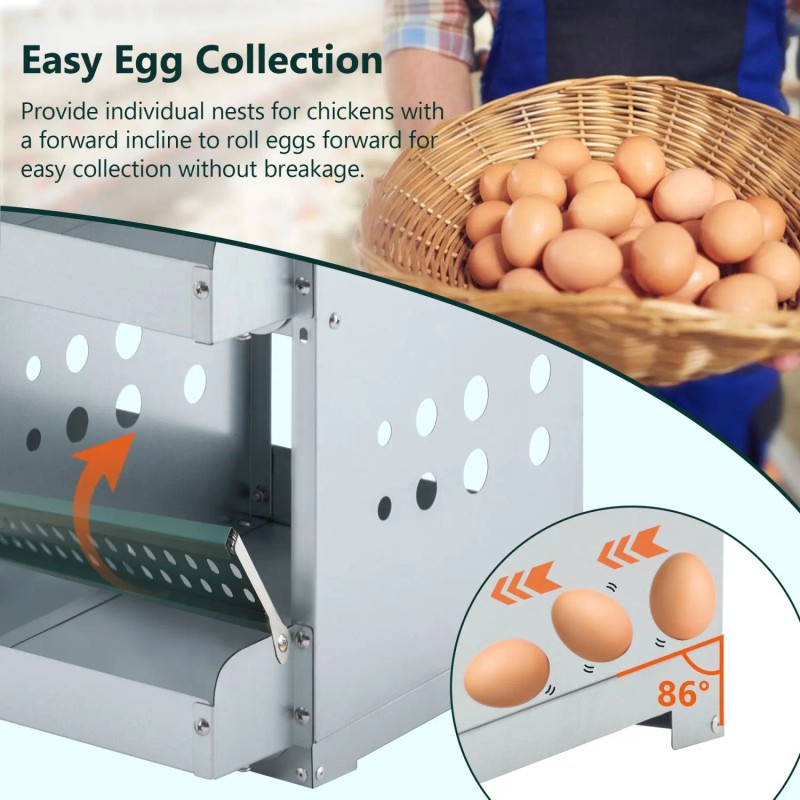 Green Metal Chicken Nesting Box with 6 Compartments Roll Away