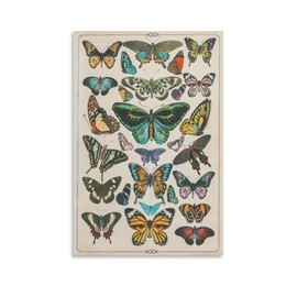 CYPGTBCK - Póster clásico de mariposas con diseño de hongos tipos de papillones, mariposas, lona y arte de pared, póster moderno para decoración familiar de recámara, 12 x 18 pulgadas (30 x 45 cm)