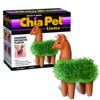 Chia CP439-01 Pet Llama Decorative Pottery Planter, Easy to Do