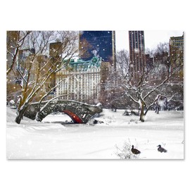 "Love Bridge Ducks in Central Park" New York City Holiday Greeting Card - 5x7 Inch, Blank Inside, Premium Card Stock with Eco-Friendly Envelope, Frame-Ready, Made in USA